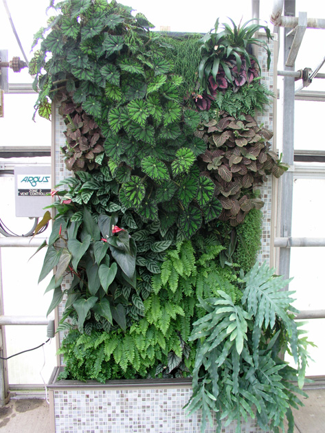 H:\1\垂直绿化\设计参考\植物墙风格\其他\20141227_162834.jpg H:\1\垂直绿化\设计参考\植物墙风格\其他\20141227_162834.jpg